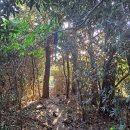 좌가연대 이미지