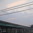 태양과바다 야영장 | 울릉도 자유여행 (1)