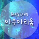 [수서3] 수요 피아노(성인) (B / 11:00~12:00) | 서울 잠실 롯데월드타워 놀거리 아쿠아리움 : 아쿠아 나잇 입장 후기 및 할인정보, 벨루가