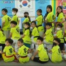 경희대 석사 태영 태권도 이미지