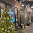 데일리-룩 | 에이블리 모델 후기 + 데일리 룩