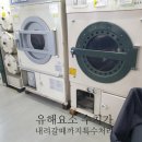 그린특수세탁 이미지