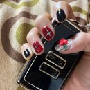 아코네일 이미지