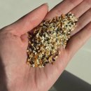 홈에브리띵 이미지