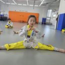 금송태권도장 이미지