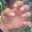 유)토우 | [네일 리뷰| 팁토우 네일 - 507 사우어 크림 발색 후기 (내돈내산 리뷰) ]