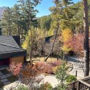 용평버치힐휴양콘도미니엄 이미지