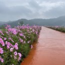 찬우물생태 이미지