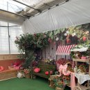 인천농장 | 인천 아기랑 딸기농장 체험 산모퉁이 딸기농원 후기