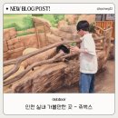 서창남순환로216번길1L | [인천 실내 아이와함께 가볼만한 곳] 요즘 핫플 실내동물원 쥬벅스 재방문 후기