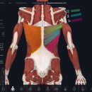 퀸스테틱 | 의정부피티, 헬린이 PT 6~7회차 후기 여성전용PT 퀸메이커짐 의정부점