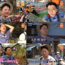 설렘투어 이미지
