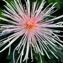 모리폴리 이미지