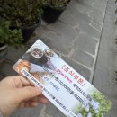 다이노 꽃밭에서 이미지