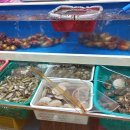 전곡항 수산물센터 1층 이미지