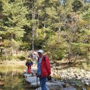 해뜨는집 이미지