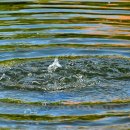 건강을지키는우리의원 이미지