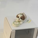 몽또 | [부천/괴안동 애견 케이크] 강아지 케이크 간식 장난감은 몽또🐶