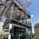 어느 날 오후 | [영광 맛집] 어느날오후 - 광주근교 브런치카페 파스타맛집 데이트코스 (내돈내산 찐후기)