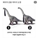 형제돼지 이미지