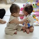 베이비풀카페 럽몬스터