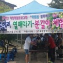 당리푸른 이미지