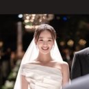 서당개 스튜디오 이미지