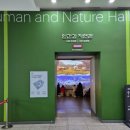 재미팡팡 두뇌놀이터 | 서울 공룡 박물관 추천, 서대문자연사박물관 아기랑 다녀왔어요