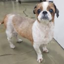 성 수의과병원 이미지