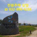 안산시 대부남동 토지 123평 1억1,685만원 (토목완) 이미지