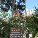 영덕레스피아 인라인하키장 이미지