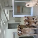 뭉스벨리 이미지