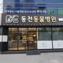 동천 동물병원 이미지