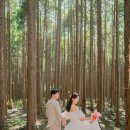 금파약국 | W4. 레코드룸 제주스냅 촬영후기