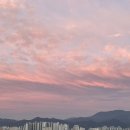 저불로 이미지