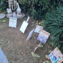 효성몬테소리어린이집 이미지