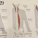 운썸 이미지