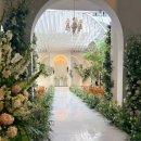 둔산중로134번길 | 대전 밝은 웨딩홀 메리비아포레｜2027년 상반기 견적 솔직후기