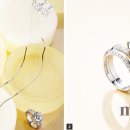 대전웨딩정보＞국내 8대 예물 브랜드의 2011 웨딩 링 컬렉션 이미지