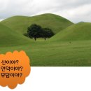 2월 문화가 있는 날! 금천구립시흥도서관 '한국의 세계유산' 책만들기(2021.2.24) 이미지