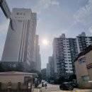 참좋은아파트 앞 이미지