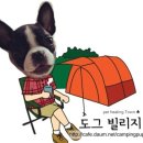 도그 빌리지 이미지
