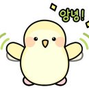 구내 안경원 이미지