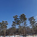 하얀천국 Daum카페