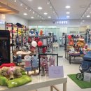 펫 파라다이스 동물병원 이미지