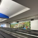 맨하탄모텔 | 신혼여행-2 뉴욕 존에프케네디공항 입국수속, 한인택시 옐로우라이드(yellow ride)추천! LIC HOTEL후기까지