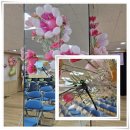 천연동자치회관 이미지