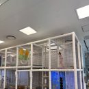 헬로(hello) | [N번째 방문] 청라홈플러스 베이비 키즈카페 "헬로파크 Hello Park" ｜1시간 이용 가능, 가격·후기 총정리