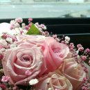 코끼리901약국 이미지