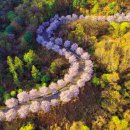 태권목장 이미지